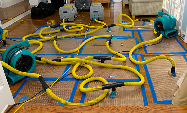 Professional Crawl Space Water Removal technician working in Clifton, IL